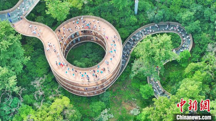 2025全国徒步大会南昌湾里站盛大启幕 5000余名爱